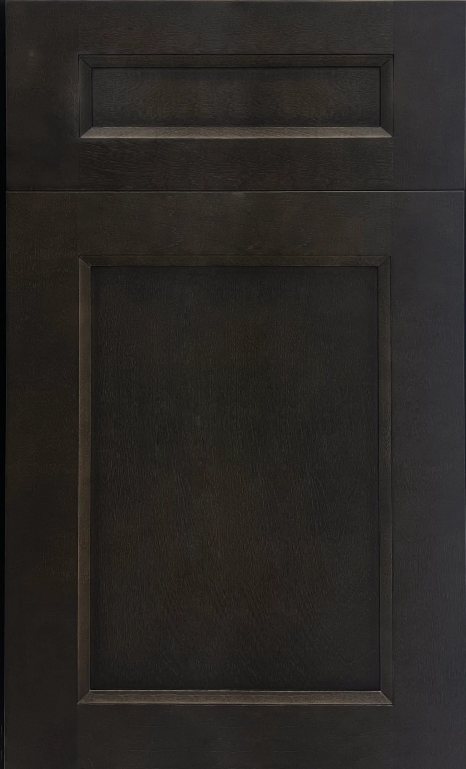 Esca Vintage Cabinet Door