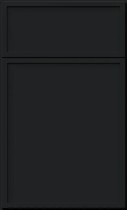 Newtone Black Cabinet Door
